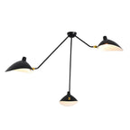 Duckbill branch ceiling light, final plain product view