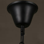 Clear glass bowl pendant light with iron frame, fourth product view