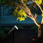 Black spike spotlight uplighting a tree trunk and its foliage