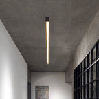 Contemporary linear ceiling light against a plain white ceiling