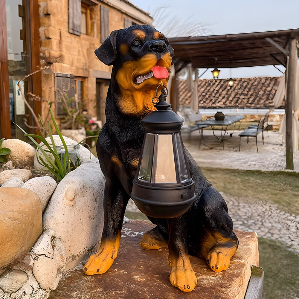 Rottweiler statue solar garden light holding a small lantern