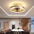 Gold ceiling fan with light in a dining room