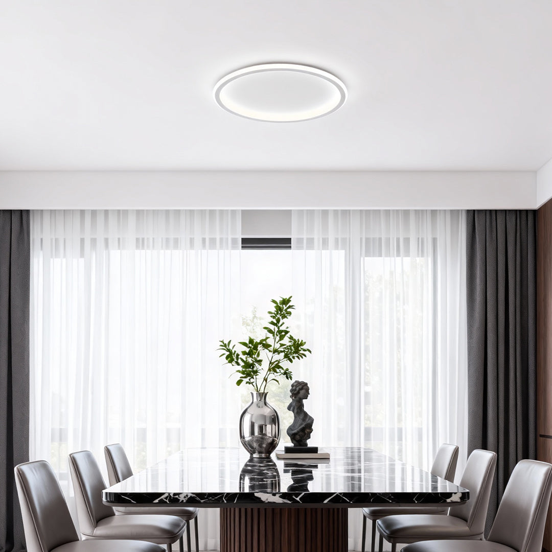 LED Circle Ceiling Light, Slim Acrylic and Metal Flush Fixture for Bedrooms and Hallways, Dimmable Minimalist Ring