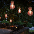 Woven rattan pendant light hung from a tree branch