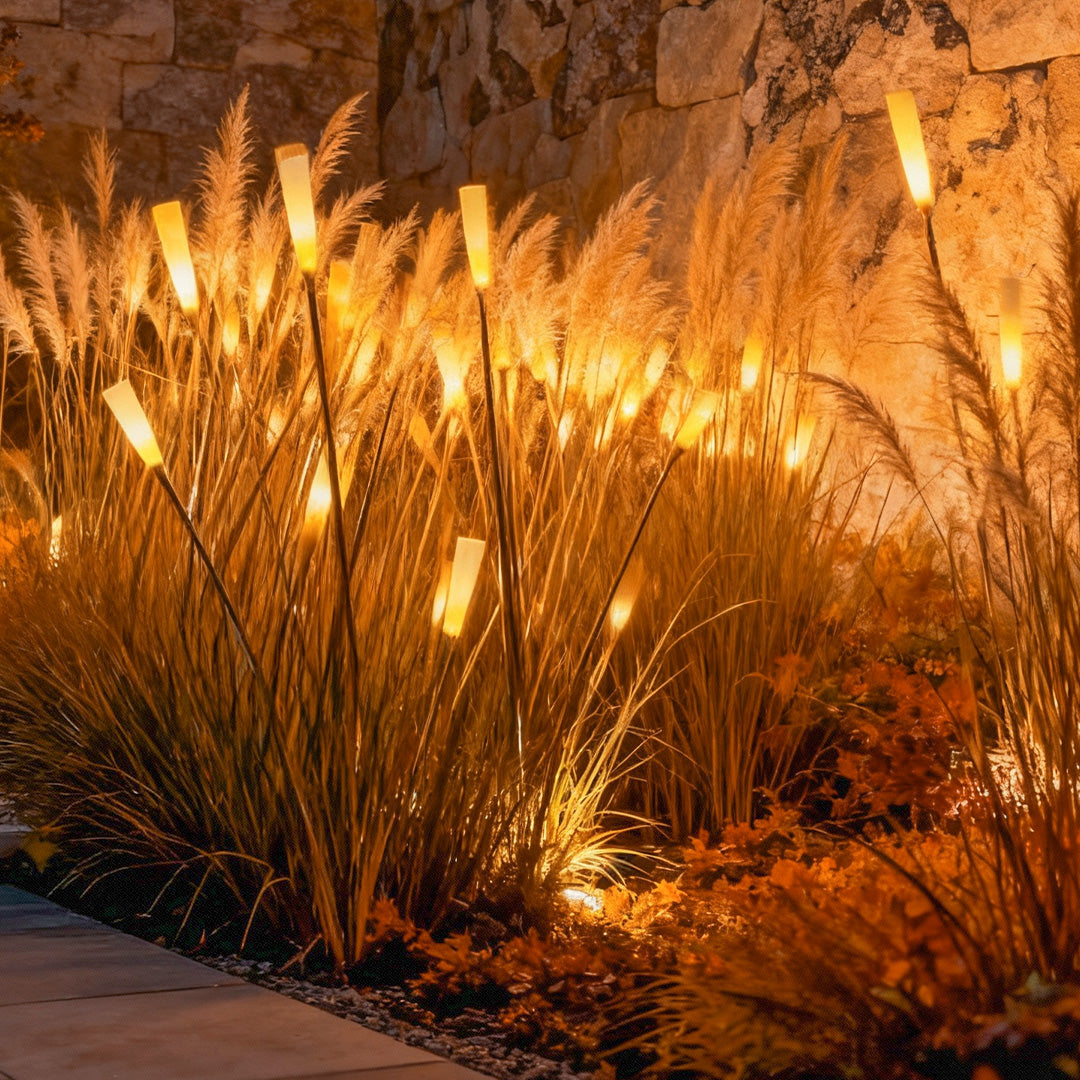 Reed lights among ornamental grasses in an evening garden