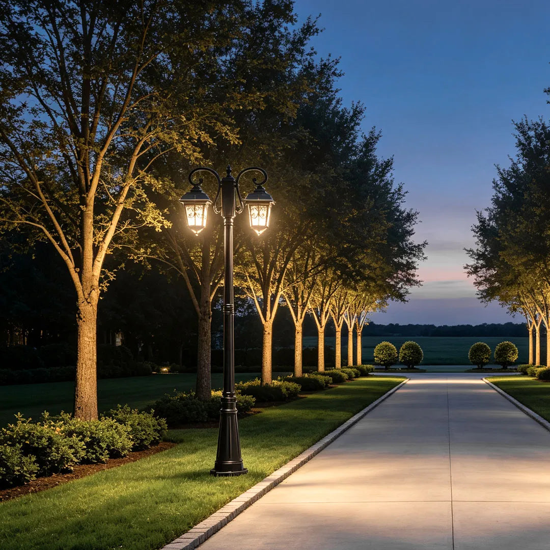 Retro lamp post standing along a tree-lined driveway entrance