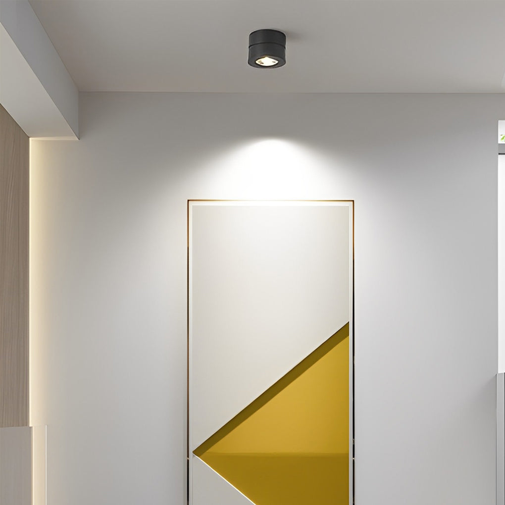 Black and white surface spotlights shown side by side
