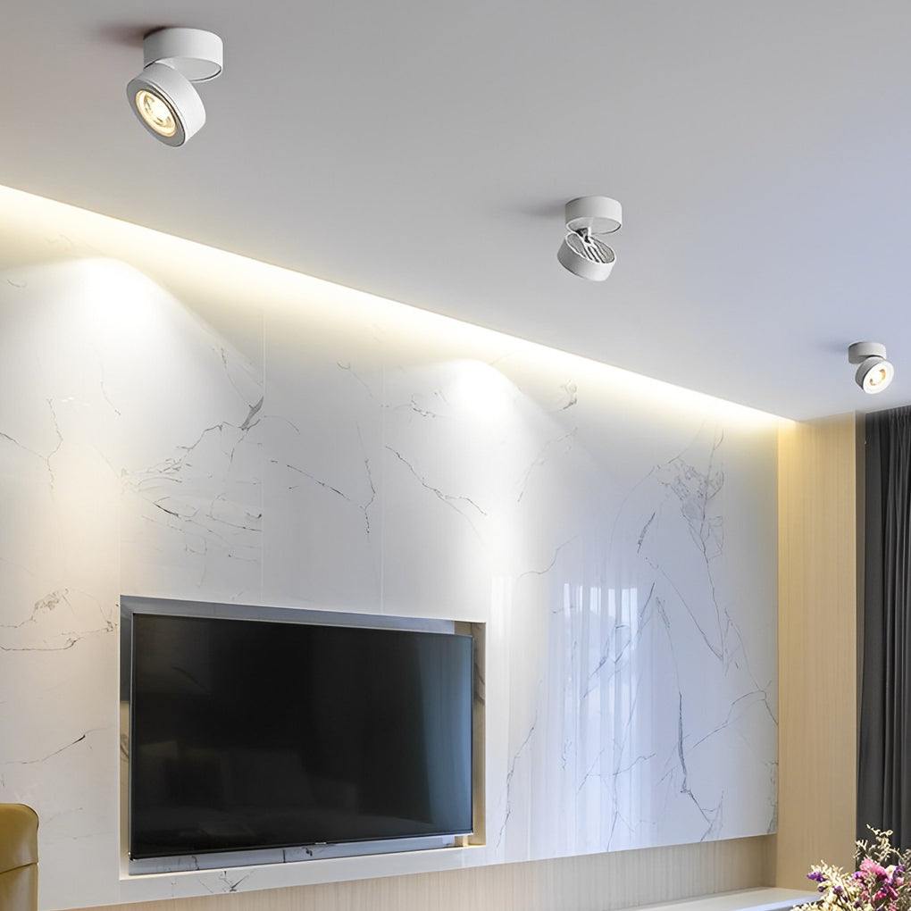 Surface Mounted Adjustable Spotlight, Aluminum LED Accent Ceiling Light for Art Walls and Hallways, 360-Degree Foldable Head
