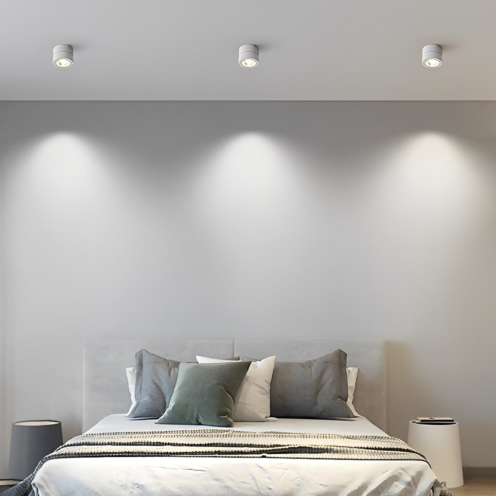 Surface Mounted Adjustable Spotlight, Aluminum LED Accent Ceiling Light for Art Walls and Hallways, 360-Degree Foldable Head
