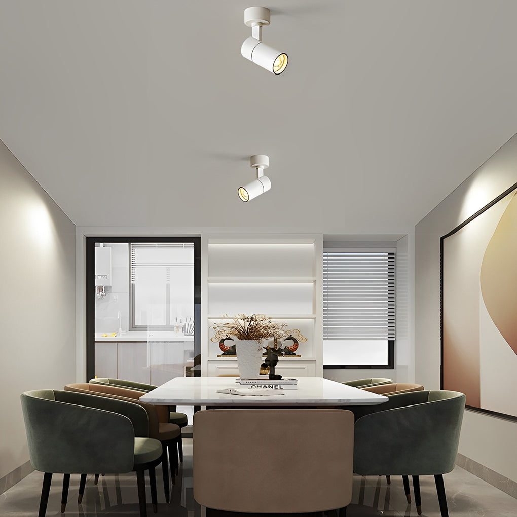 Surface spot lights mounted in a dining room ceiling