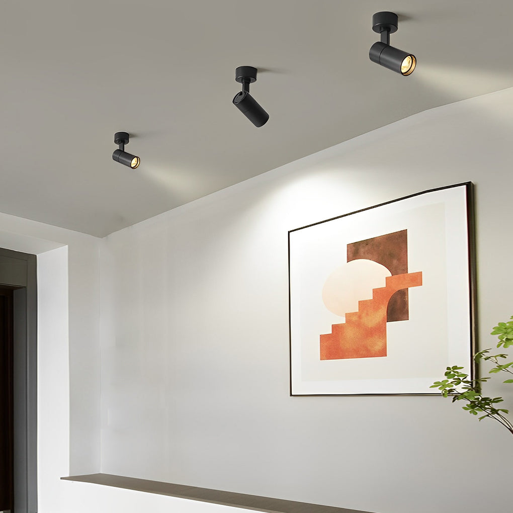 Surface spot light used as a hallway accent