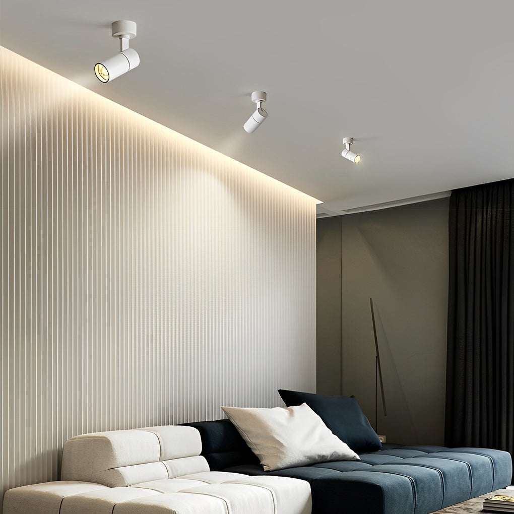 Surface spot light mounted in a living room ceiling