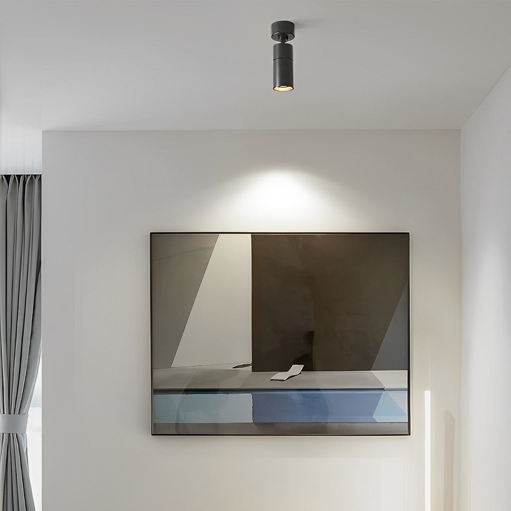 Surface spot light aimed at modern wall art