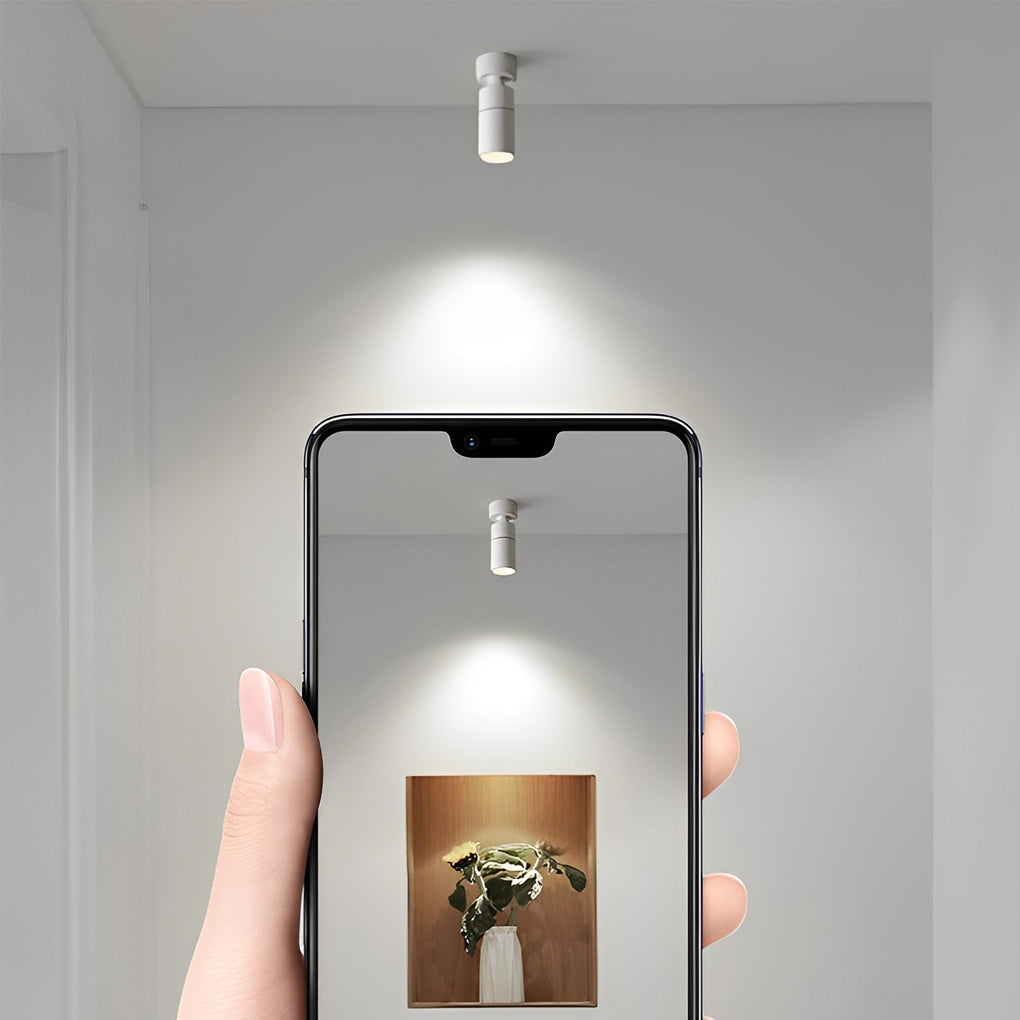 Surface spot light shown with smart control app