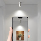 Surface spot light shown with smart control app