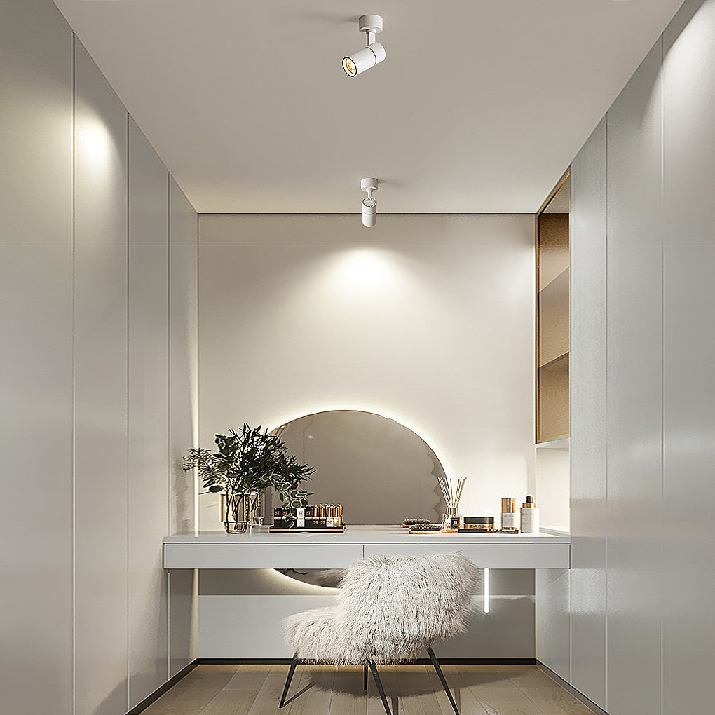 Surface spot light in a vanity area interior