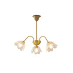 Traditional chandelier with glass globe shades