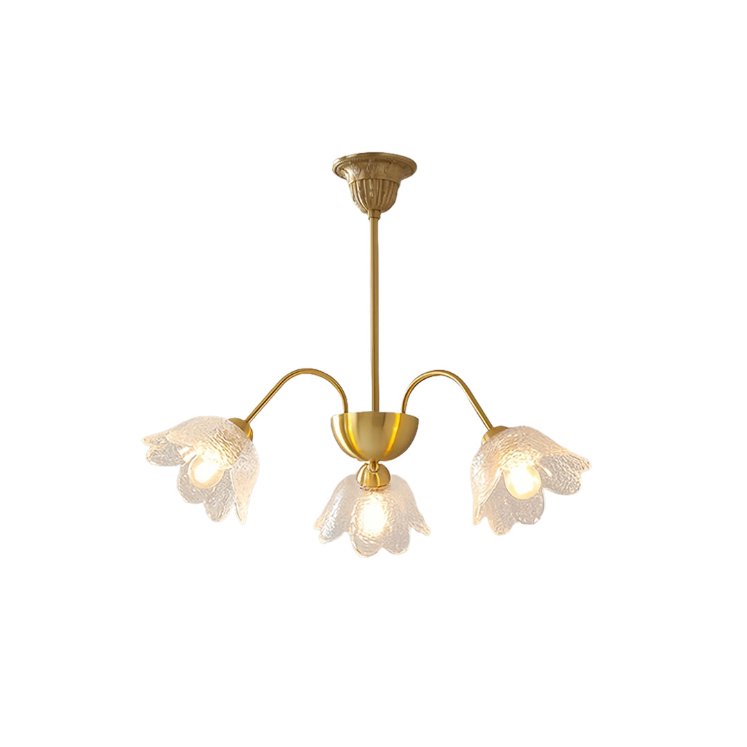 Traditional chandelier with glass globe shades