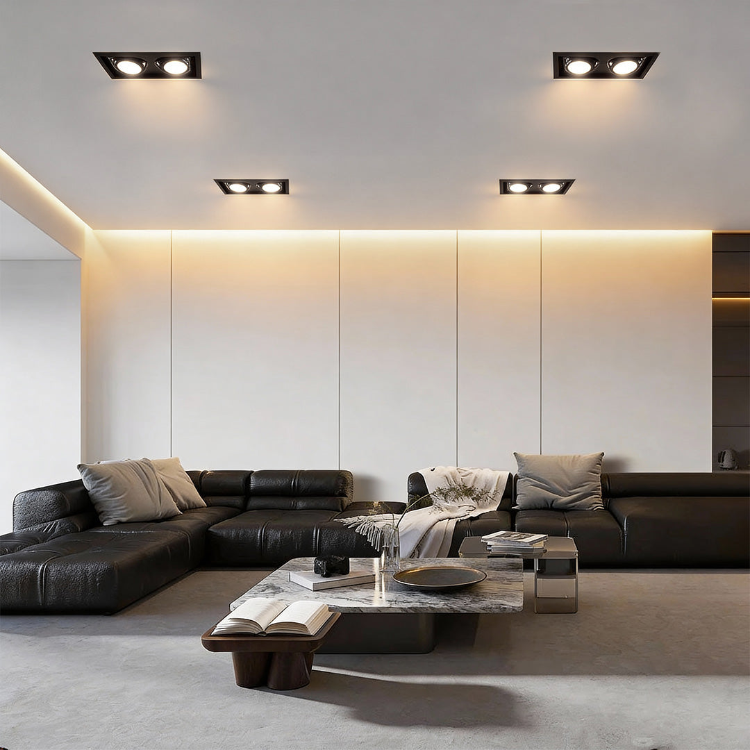 Twin Recessed Ceiling Spotlight, Adjustable Rectangular Aluminum Downlight for Accent and Art Wall Lighting, 45-Degree Aim