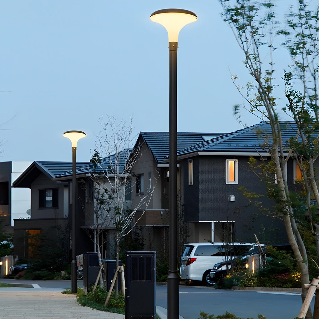 Solar Street Light, Round Die-Cast Aluminum LED Pole Lamp for Driveway and Yard, Waterproof with Standalone Head or Full Pole Options
